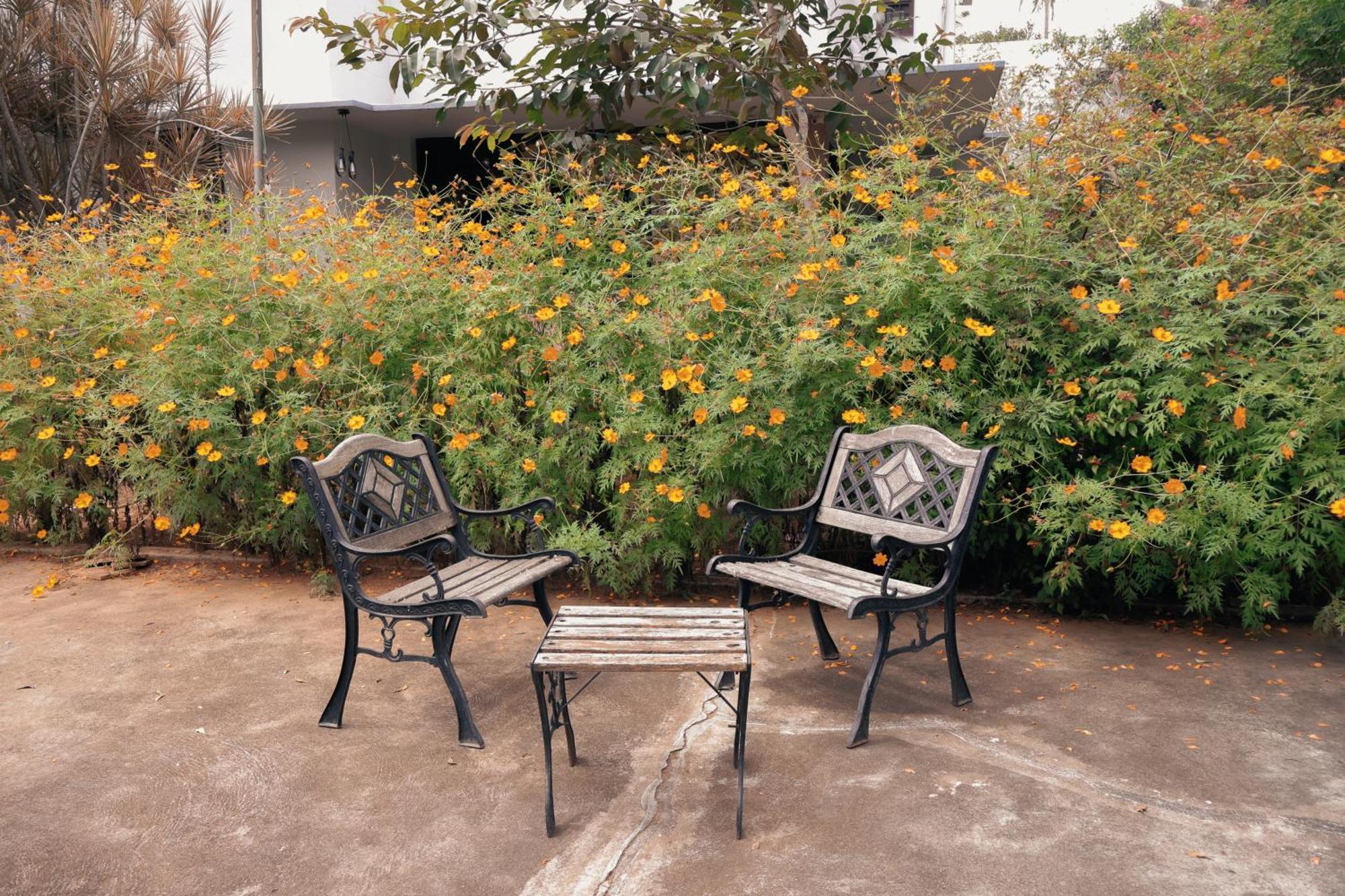Hostel Stories Mysore Extérieur photo